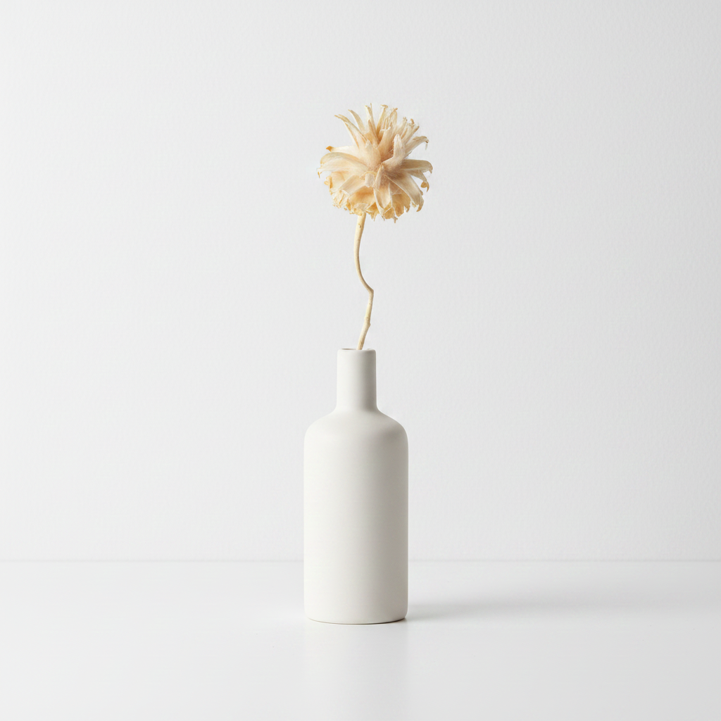 Sušené Plumosum – bělené, jemná přírodní dekorace do aranžmá